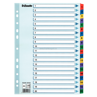Rozdružovač ESSELTE, MYLAR 1-20 zesílený