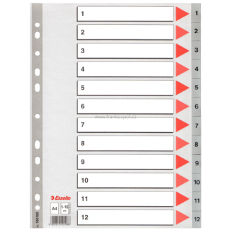 Rozdružovač ESSELTE A4, 1-12