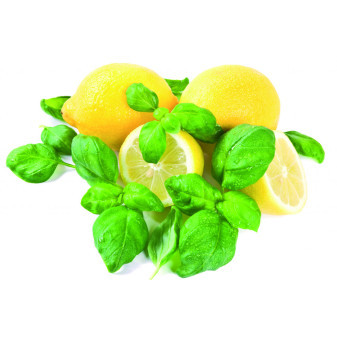 Náhradní náplň do osvěžovače DUAL/SOLO lemon and basil