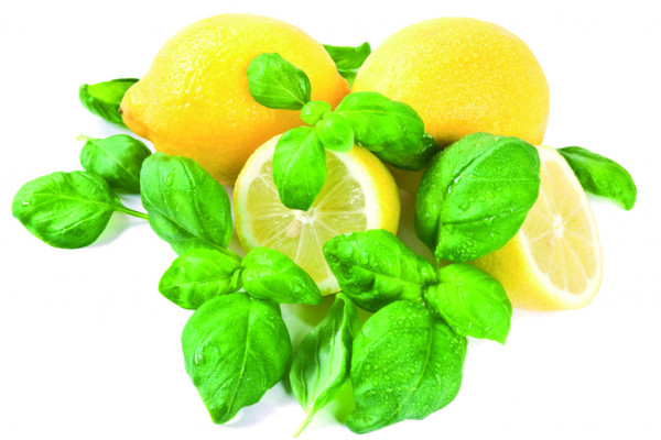 Náhradní náplň do osvěžovače DUAL/SOLO lemon and basil