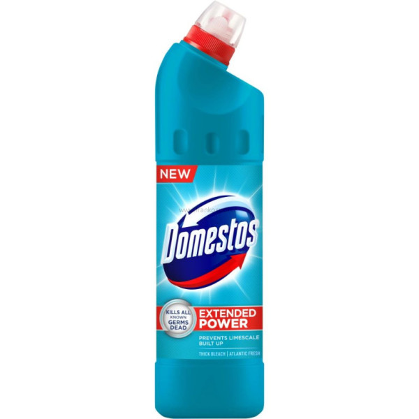 WC DOMESTOS atlantic fresh